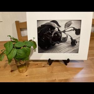 New Original Signed Photography Black and White Fuchsia